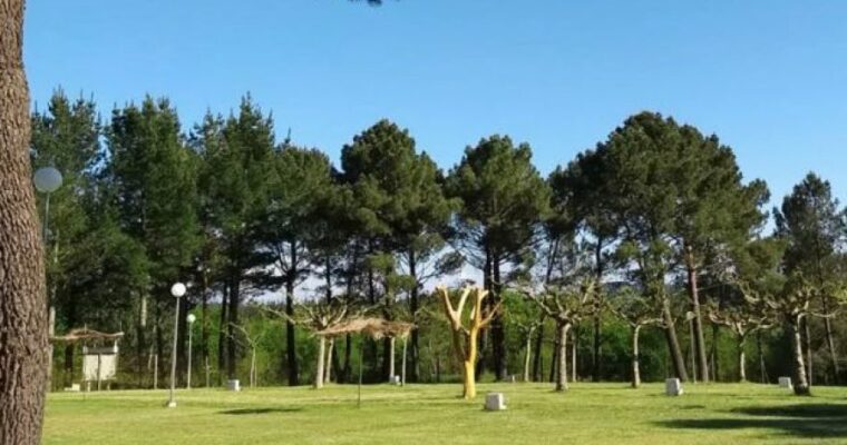 Descubre la belleza natural de Parque del Pinar en Castellón: un oasis de tranquilidad