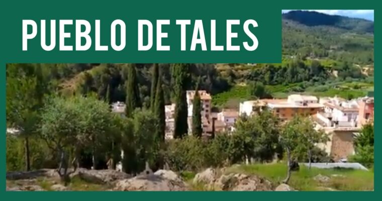 Que ver en el Municipio de Tales en Castellon